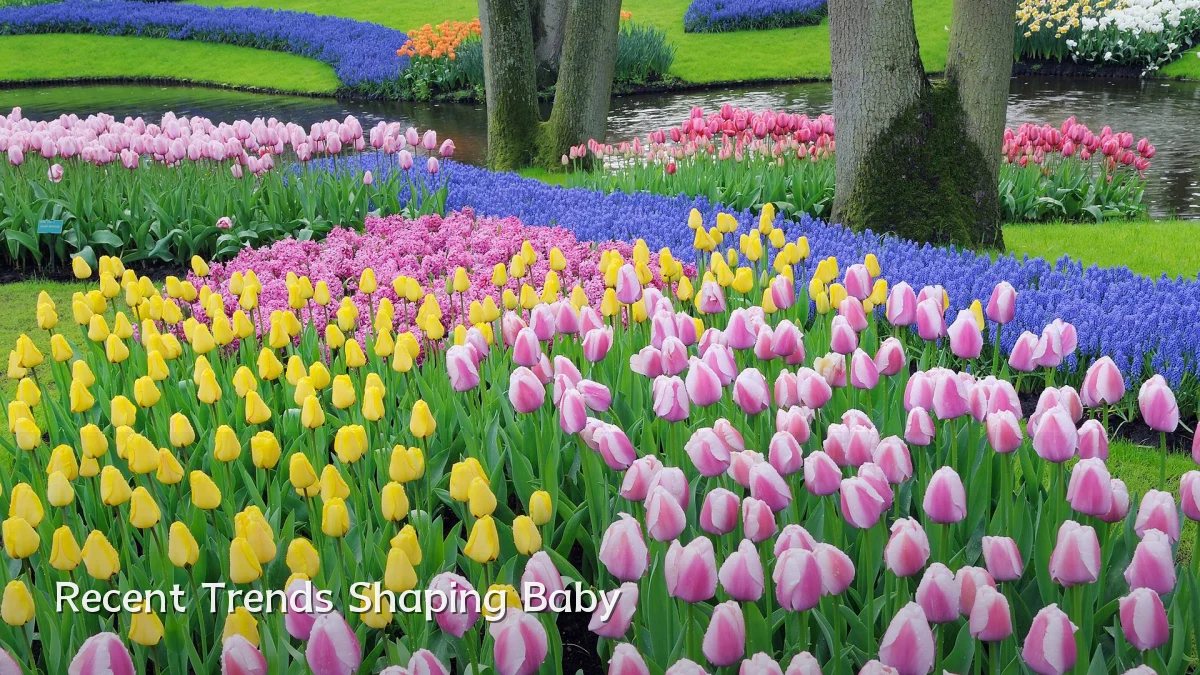 Recent Trends Shaping Baby