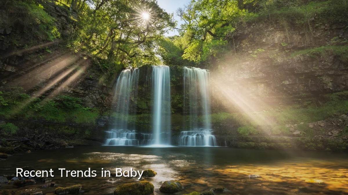 Recent Trends in Baby