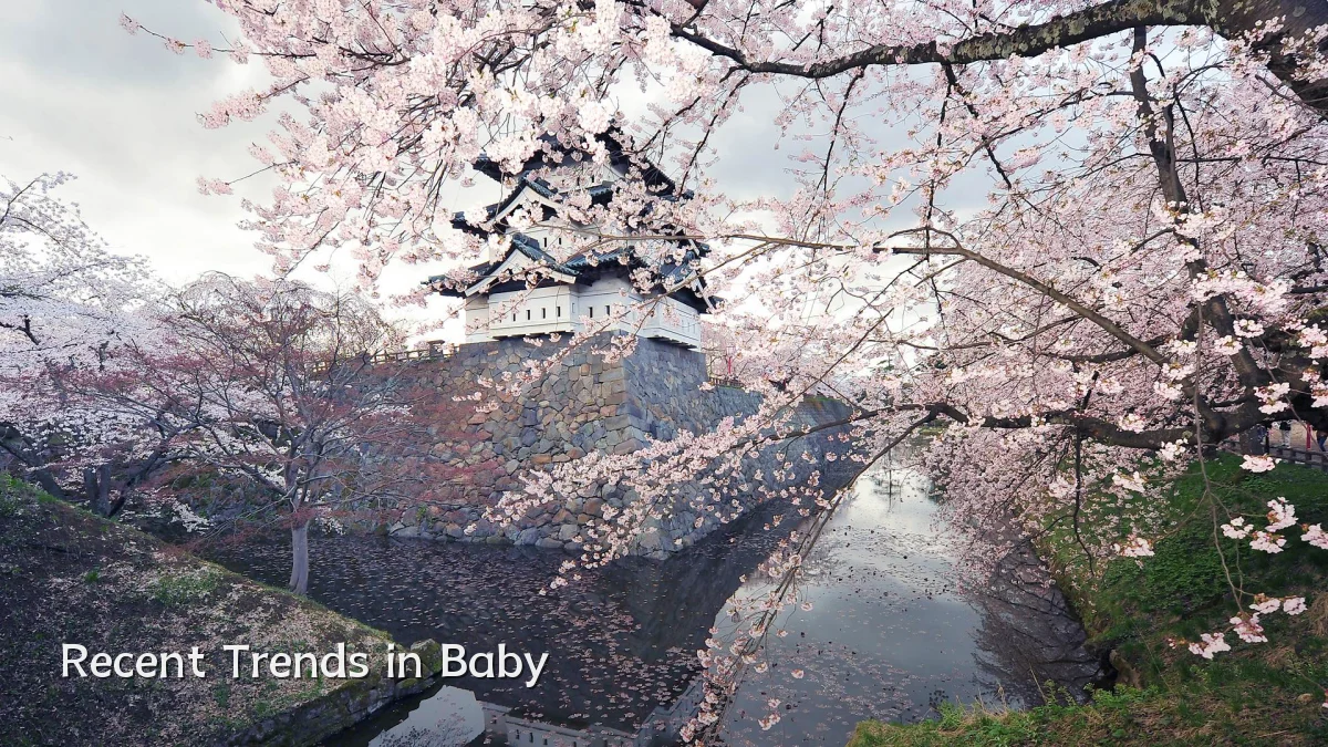 Recent Trends in Baby