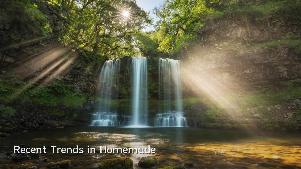 Recent Trends in Homemade
