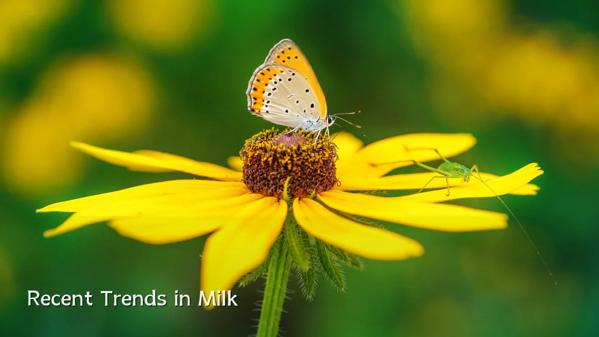 Recent Trends in Milk