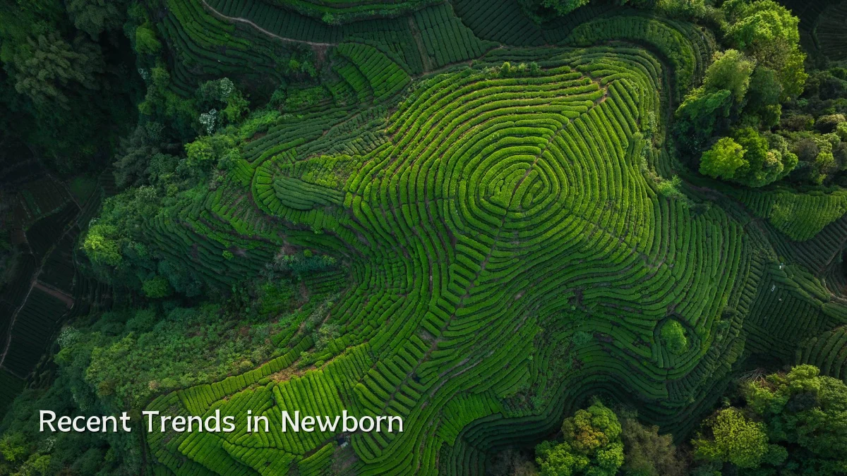 Recent Trends in Newborn